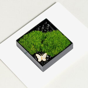  tFCNO[   { ϑސF ό a  eB[e[u ΂O @ׂȗt RȎp Cɖ J[2 DIY rO  t[AWgv[g