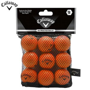 yubNtCf[őP10{{10000~N[|Iz11/26܂Ł@LEFC HX PRACTICE BALLS HXvNeBX{[ IW 9 Kp\tg{[ 070021500052