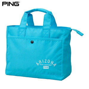 ySi10N[|JÒIz11/3܂Ł@PING s A]iJWA EhobO GB-U2503 38234-01 SKY [2025Nf]