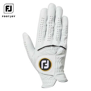 ySi10N[|JÒIz11/3܂Ł@tbgWC Y StaSof XeC\t Ep StO[u FGSS23L WT zCg