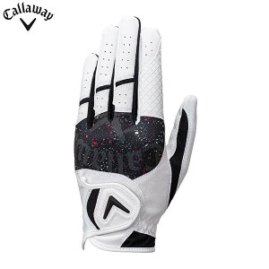 ySi10N[|zzIz11/16܂Ł@[2025Nf] LEFC Y GRAPHIC OtBbN StO[u 25 JM zCg/ubN