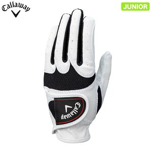 [2025Nf] LEFC WjA WARBIRD JUNIOR EH[o[h StO[u 25 JM zCg