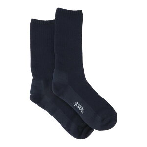 IDATEN X ʓVX Y gII ~h\bNX ID-010 lCr[