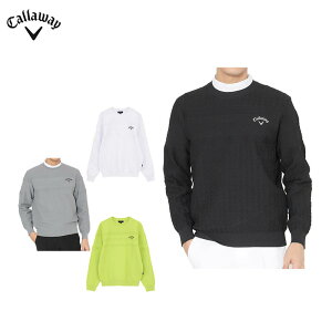 LEFC Y K[^[҂  N[lbN Z[^[ C25218100 StEFA [2025NH~f 30OFF] 