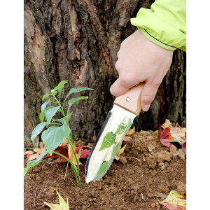 R@|piCt@6200@YAMAKODACHI@@m@xcn