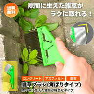SNSで話題の人気アイテム！角ばりタイプ ステンレス刃物 雑草ブラシ トンガリ nisaku NO2511 富田刃物 メ…