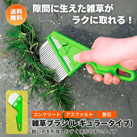 SNSで話題の人気アイテム！レギュラータイプ ステンレス刃物 雑草ブラシ nisaku NO2510 富田刃物 メール便 雑草取り 道具 簡単 草取り 鎌 ブラシ 草刈り機お墓掃除 ガーデニング 駐車場 コンクリートアスファルト敷石