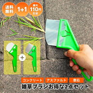 自由に2点選べるお得なセット SNSで話題の人気アイテム！ レギュラータイプと角ばりタイプ ステンレス刃…