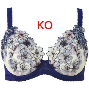 LCɂ݂Ă₳uyR[@}^jeBzYOEY㌓pu FJbv