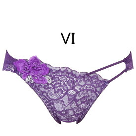 20%OFF!!【ワコール　サルート】95グループビキニショーツ