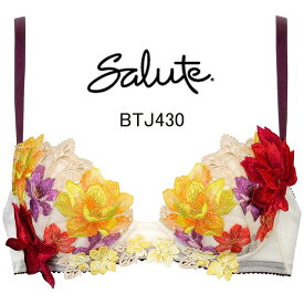 32%OFF&送料無料！！【ワコール　サルート】30グループプッシュアップブラジャー　D・E・Fカップ