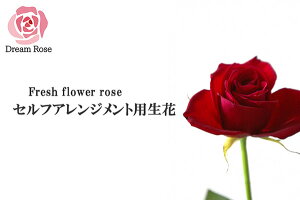 薔薇 バラ 生花 セルフアレンジメント用 バラ 【 赤 】 単色 30本 切花 新鮮なバラを産地直送 ドリームローズ 山形