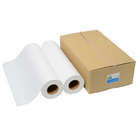 大判印刷用紙 ディーソル フ-0859-2Gリッチライトグリーン 55kgベース ロール グリーン購入適合 2本入 オフィス 店舗用品 【新品】 新着