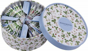   EFbWEbh Ch Xgx[ eB[obO 1052808WSN-36P j Ԃ MtgZbg oYj j j  䋟 Ε Ε ܎Oj TԂ 