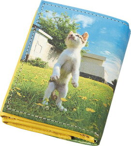 L ]̗L O܂RpNgz TW2151 j Ԃ oYj j j Ε Ε ܎Oj TԂ e{  䋟 Cj Cj