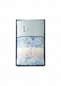   a̐F O͖ؖ _uK[[ zc u[ WK1021BL pi j Ԃ oYj j a  䋟 Ε Ε ܎Oj TԂ e{ Cj 