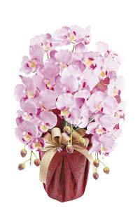 SCG}H v`iӒiA[eBtBVt[j HCA2-LV-23 ̂Es