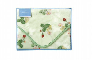   EFbWEbh ChXgx[ ANЂ| O[ FQ88400050 j Ԃ MtgZbg oYj j j ߋj  䋟 Ε Ε 