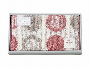   bV oX}bg sN 095650PI j Ԃ oYj j j Ε Ε ܎Oj TԂ e{  䋟 Cj Cj