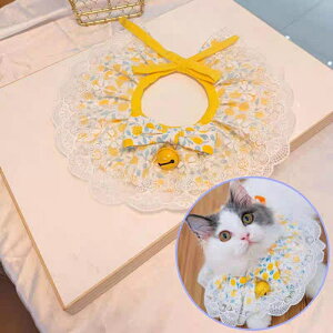 gȉԕL[g ԕ`[J[ ybgpi@@[X@CG[@sN@L@