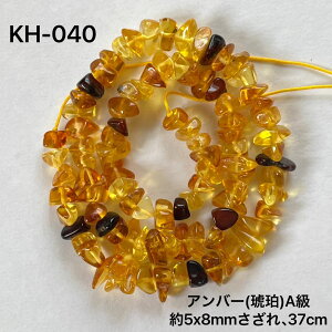 �V�R���߃r�[�YA����5x8mm37cm�A�B