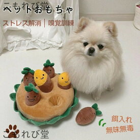 おもちゃ 丈夫 頑丈 安全 噛む 力 強い 歯磨き プレゼント ロープ 犬おもちゃ 犬用玩具 ペット 犬 犬用おもちゃ