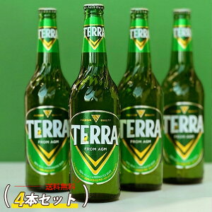 [���I] JINRO �e���r�[�� �r�r�[�� 4�{�Z�b�g ���K�i / 500ml×4�{ TERRA ���I�r�[�� �؍��r�[��