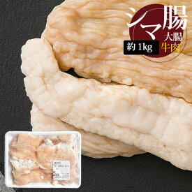 [牛肉] 牛シマ腸 大腸 大腸平 / 約1kg シマチョウ 牛ホルモン 穀物肥育 牛肉 ぷりぷり スペイン産 (冷凍)