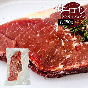 [] XgbvC T[C Ђꂵ / 250g Ŏ [X [Xgr[t ؂Xe[L (Ⓚ)