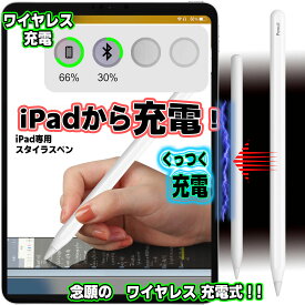 ＼楽天ランキング1位／ ipad スタイラスペン [ 吸着充電 ] ペンシル pencil ペンケース付き 最新 M4 M2 第6世代 ペン 11インチ パームリジェクション 遅延なし USB-C充電 傾き感知 マグネット 極細 ワイヤレス充電 Pro 10.2 第9世代