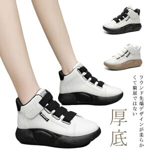  Xj[J[ V[Y ɂ jOV[Y 4cm ^C 킢 g nC\[ X|[c fB[XXj[J[ JWAV[Y y Cq[Xj[J[ X|[