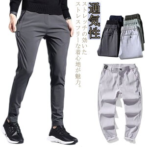 tH~ StEGA Y Stpc SEGXg {gY `mp Opc Xgb` Y{ 傫TCY ʋC Lkǂ n JWA jp 싅 ނ EI[L