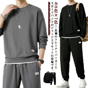 ZbgAbv W[W XGbg ㉺Zbg Y 傫TCY YZbg g[i[ WK[pc 2_Zbg XEGbgEGA t H EhlbN X|[cEGA