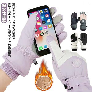 ~g h oCN X}zΉ XL[O[u  h ] O[u Xm[{[h X}zΉ g Xm[O[u Y Ɨp Xm{[   킢 O[u h