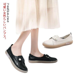 [q[ L pvX RtH[gV[Y fB[X ɂȂ  pvX ؂  O b oGV[Y 킢 N[g 傫TCY n Vv 