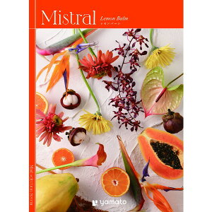 y|Cg5{zJ^OMtg o[yj o  o Vzj oYj j j jԂ Mtg oYj Ԃ ԗ `CXzyΕ Ε 