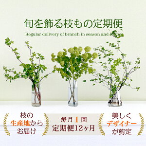 {}̒ց@hE_ccWȂ 70cm i} }  TuXN TuXNvV 1j