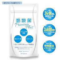 【エーギフト公式】 酪酸菌プレミアムプラス 120粒 酪酸菌 サプリ 24億個 ビフィズス菌 3600億個 短鎖脂…