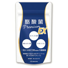 【エーギフト公式】 酪酸菌プレミアムEX 120粒 酪酸菌 サプリ 48億個 ビフィズス菌 短鎖脂肪酸 腸活 菌活 善玉菌 フラクトオリゴ糖 ラクトフェリン フローラ サプリメント 飲みやすい ソフトカプセル 30～120日分