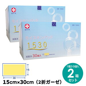 \ CXLpbh1530 ŋۍ (15cm×30cm 1pbN×30ܓ) Oȗppbh 2Zbgyp-upz