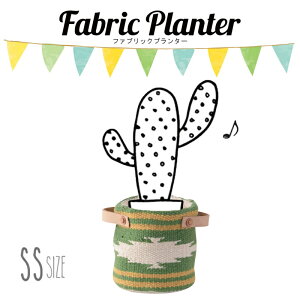 t@ubNv^[ TTZ-520GR O[ v^[ Jo[ SSTCY W10.0xD10.0xH10.0 Aؔ  ϗtA T{e A fR[V