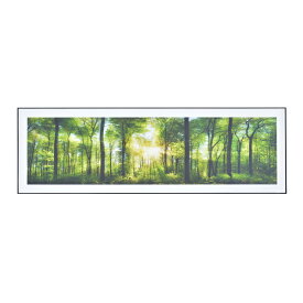 アートパネル ART-201A フォレスト 森林 グリーン 朝日 自然　/　アートパネル 140×45cm ワイド グラフィックパネル デザインボード アート 写真 風景 景色 インテリア 飾り 壁掛け リビング 玄関 モダン おしゃれ