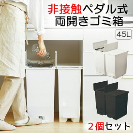 【2個セット】日本製 ペダル式ゴミ箱 45L 両開き 抗菌&防汚加工 非接触 ホワイト 白 おしゃれ ペール 45Lゴミ袋用 分別ごみ箱 オムツ 生ゴミ ペット エコ キッチン ペダルオープンツイン ペットボトル SOLOW 抗ウイルス SIAA 北欧 リビング 人気 定番 おすすめ 新生活