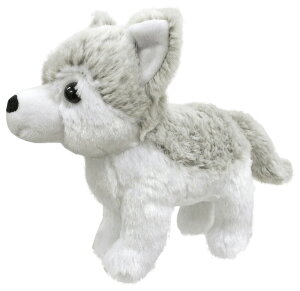 ʂ IIJ~ Aj}tY 킢   l` ӂӂ ^ ftH a v[g u tBMA }XRbg  Animal Frineds