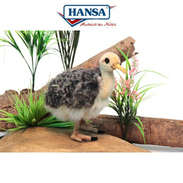 楽天市場】廃番HANSA 3821 ダチョウ(コ)30 全長：30cm OSTRICH CHICK 