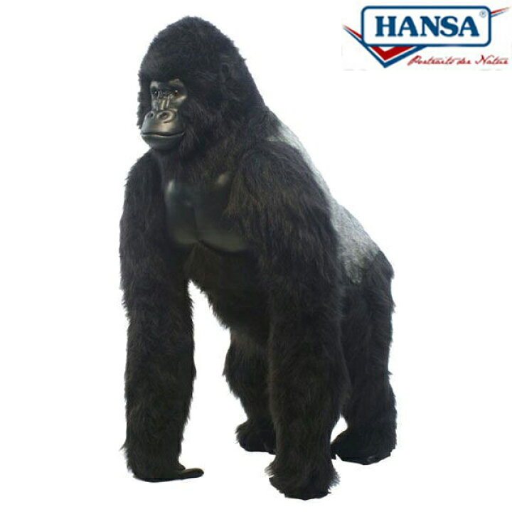 楽天市場 Hansa 4325 シルバーバックゴリラ160 全長 160cm Gorilla Bh4325 ぬいぐるみ ハンサ クリスマス 誕生日 プレゼント 動物 犬 猫 鳥 うさぎ ペンギン アニマル 置物 人形 フィギュア Koesen ケーセン カロラータ 大きい マスコット 実物大 大型 Agog 楽天市場店