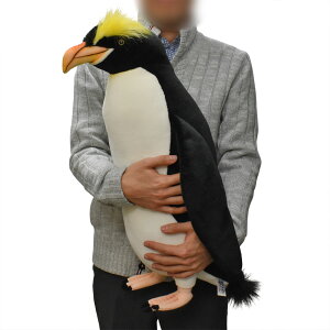 HANSA 7121 V[^[yM59 SF59cm ERECTCREST BH7121 ʂ nT NX}X a v[g   L   yM Aj} u l` tBMA KOESEN P[Z 傫