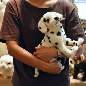 ぬいぐるみ ダルメシアンの人気商品 通販 価格比較 価格 Com ぬいぐるみ ダルメシアンの人気商品 通販 価格比較 価格 Com