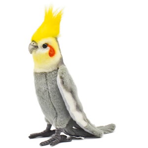 HANSA 6470 IJCR@O[21 SF21cm COCKATIELGR BH6470 ʂ nT NX}X a v[g   L   yM Aj} u l` tBMA KOESEN P[Z 傫