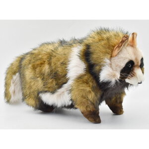 HANSA 7256 ^kL46 SF46cm RACCOON DOG BH7256 ʂ nT NX}X a v[g   L   yM Aj} u l` tBMA KOESEN P[Z 傫 }X
